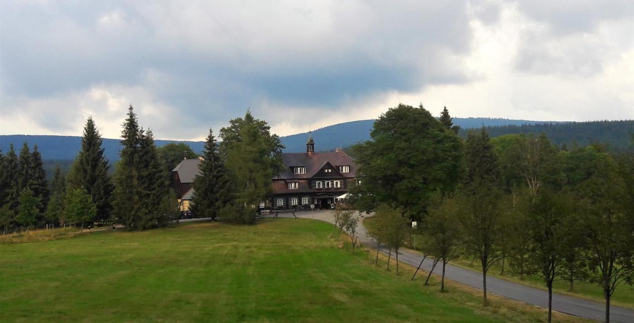 Apartman Na Kraji Lesa Janov nad Nisou Exterior foto